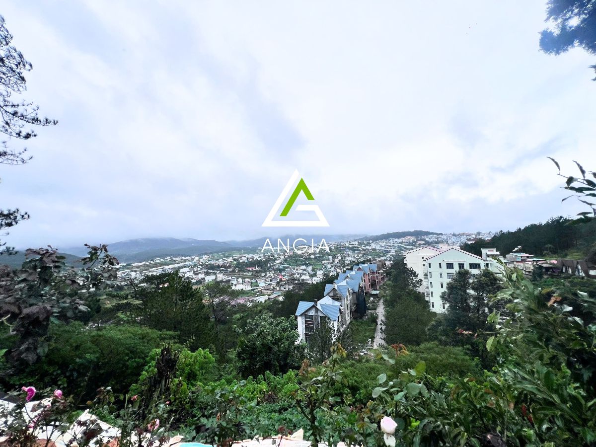 Đất Đống Đa - Giá: 33ty, tlcc