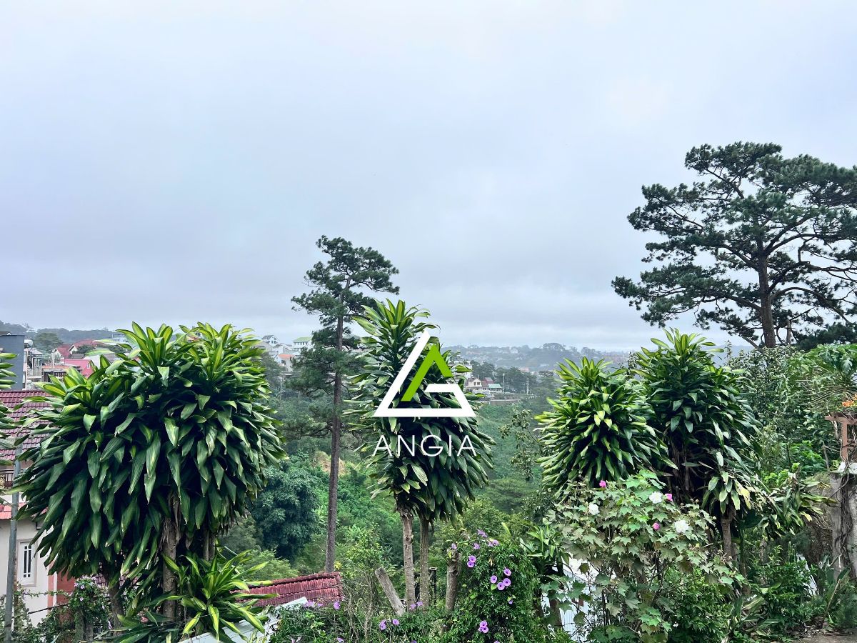 Đất đường Ba Tháng Tư (đường 3/4) - Giá: 150ty
