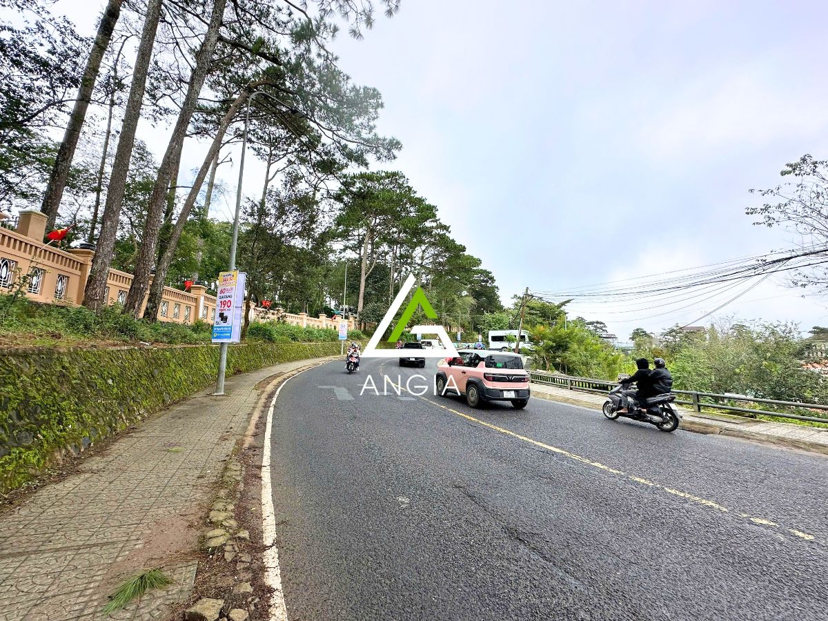 Đất Triệu Việt Vương - Giá: 30ty, tl mạnh