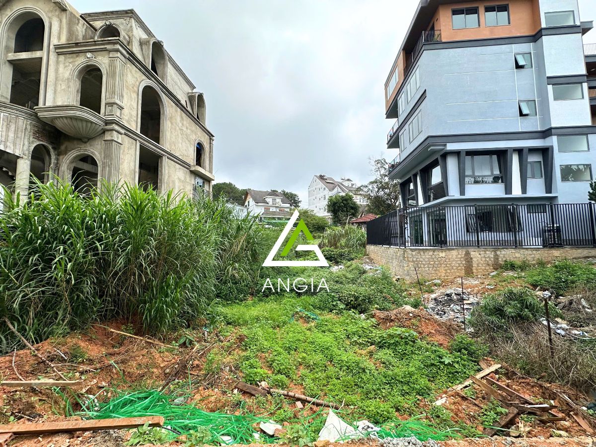 Đất Trần Đại Nghĩa - Giá: 11ty