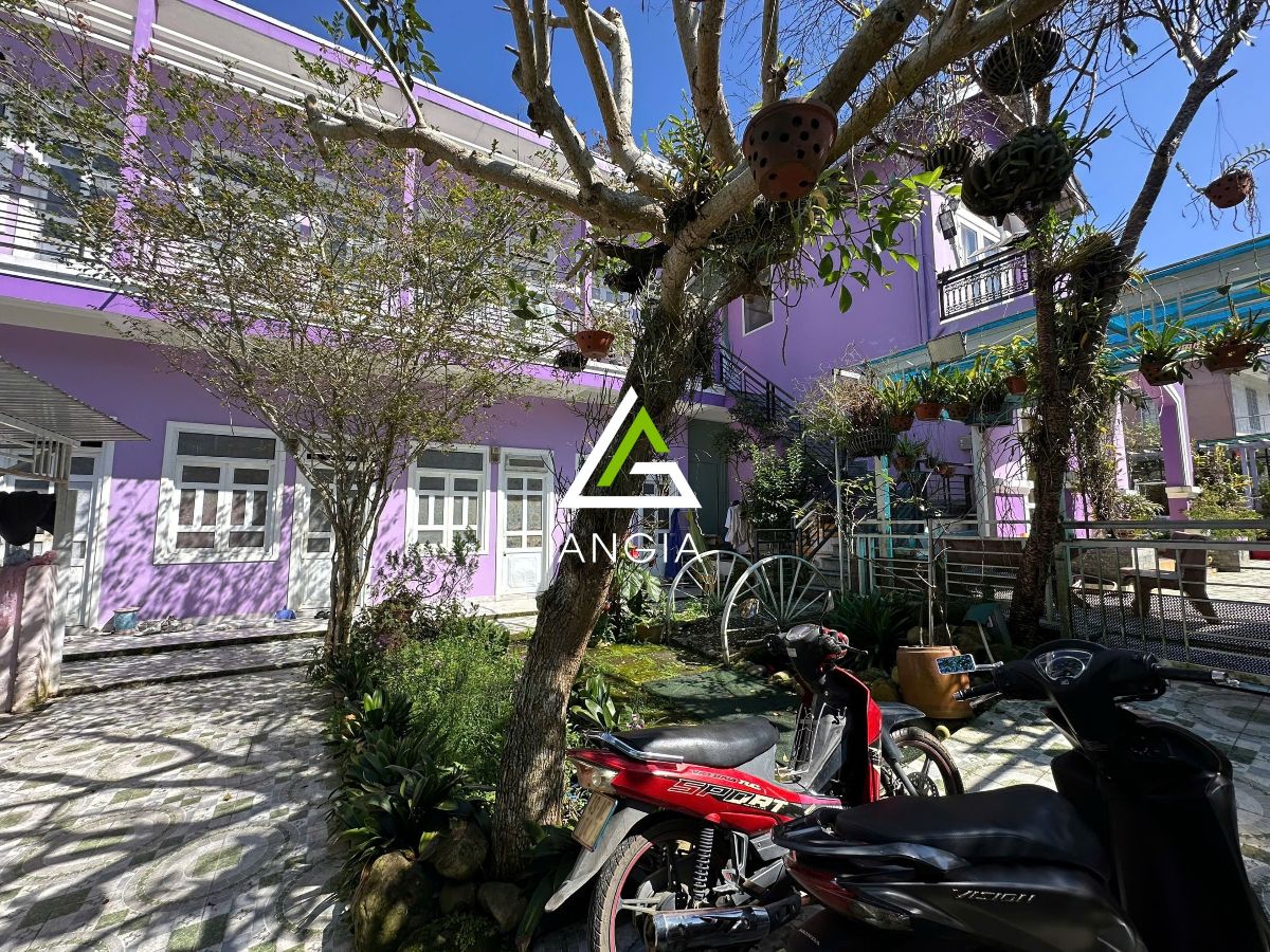 Nhà Mai Hắc Đế - Giá: 22ty