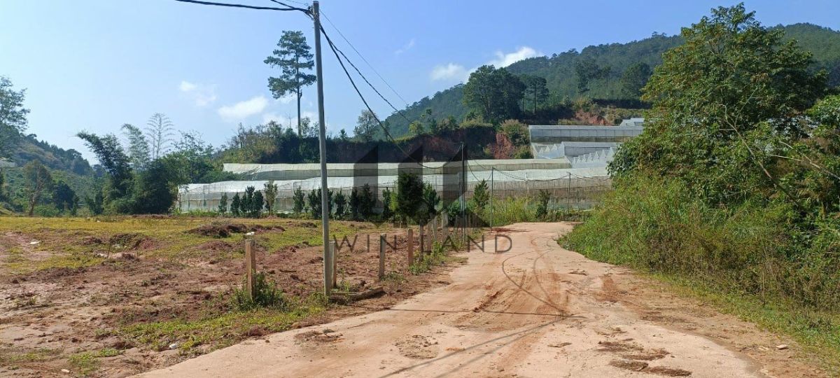 2 lô đất NN giá tốt Măng Lin - Giá: 3ty3
