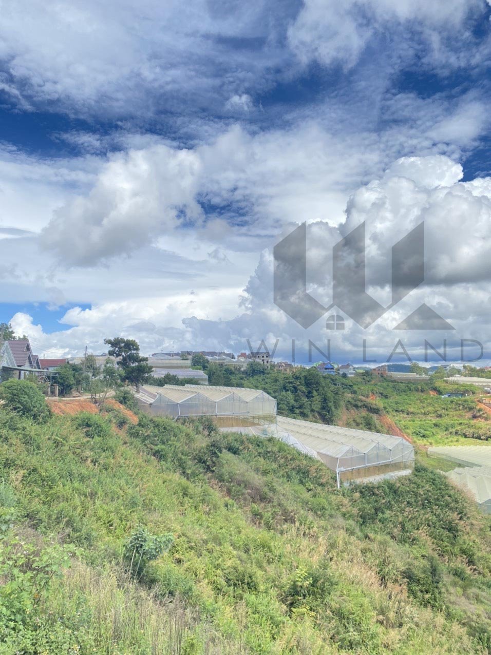 Đất KQH Măng Lin - Giá: 12ty5