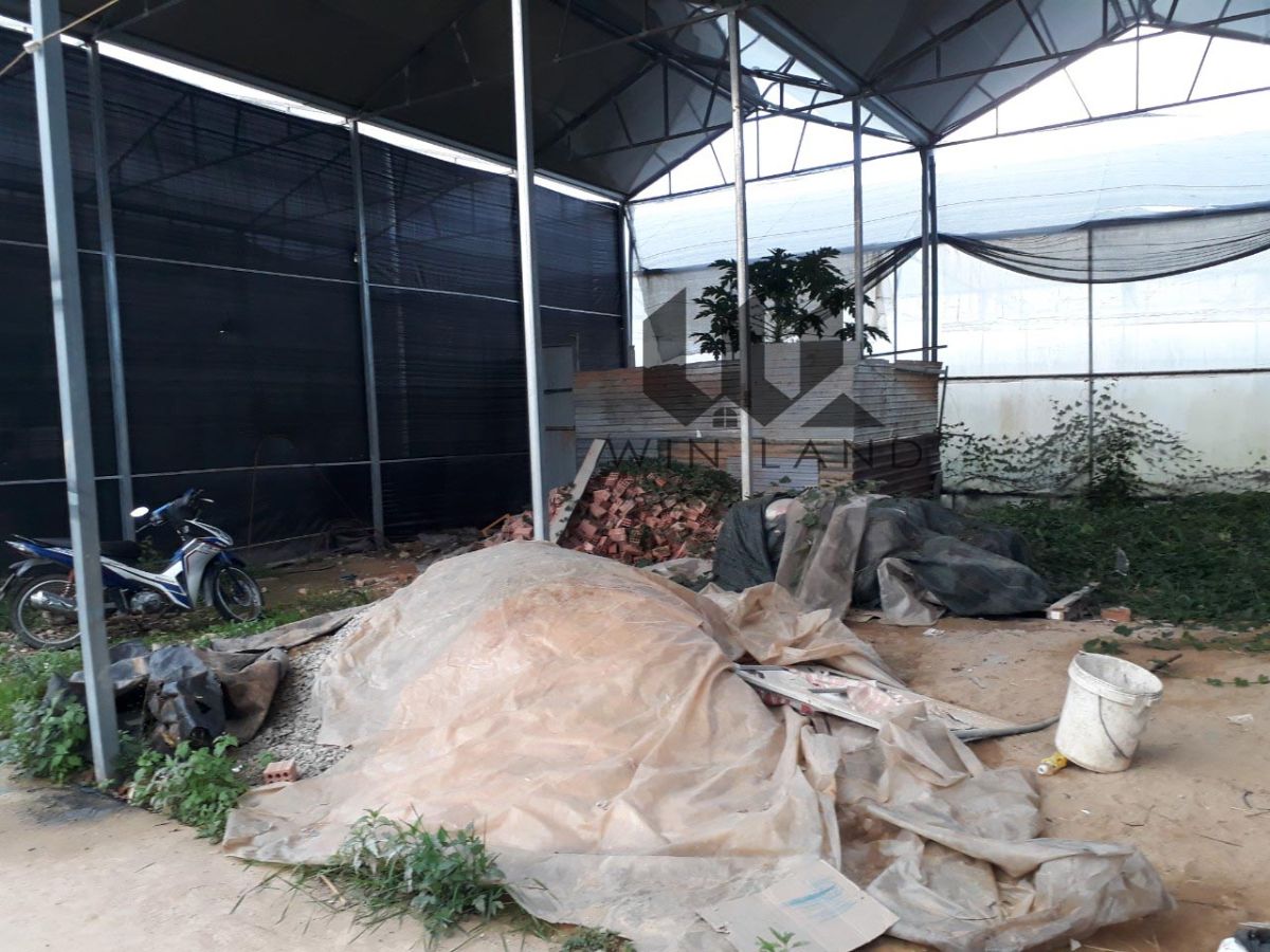 Đất Trần Anh Tông - Giá: 1ty050
