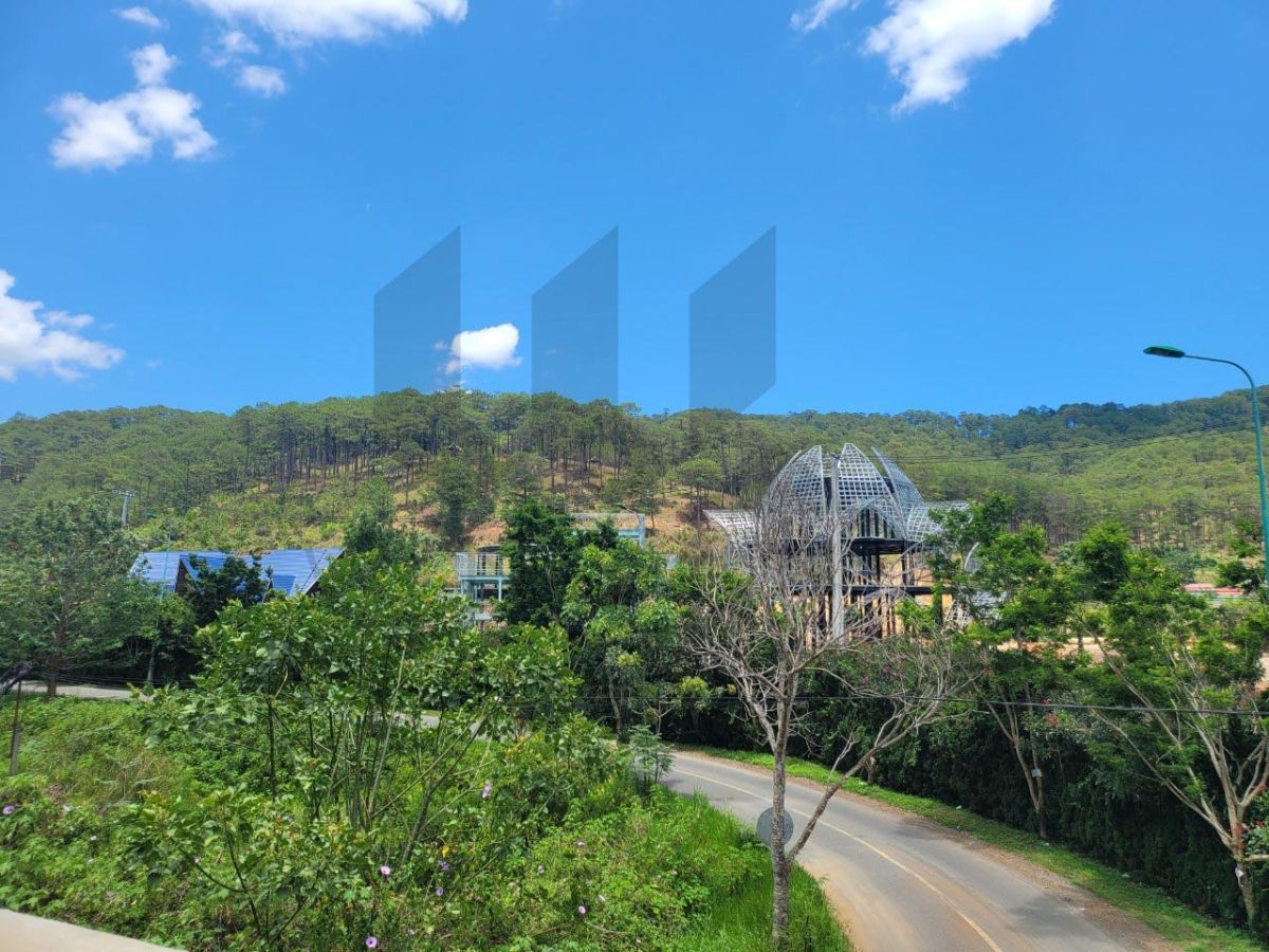 Đất Hiệp An, Đức Trọng - Giá: 8ty2
