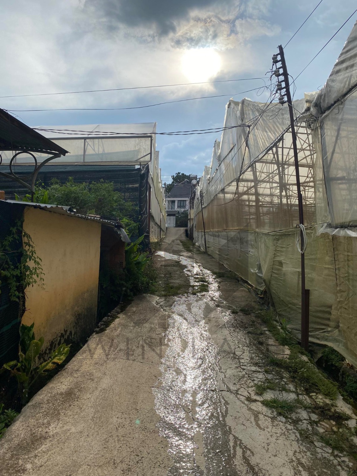 Đất Đa Thiện - Giá: 30ty3 (9tr/m2)