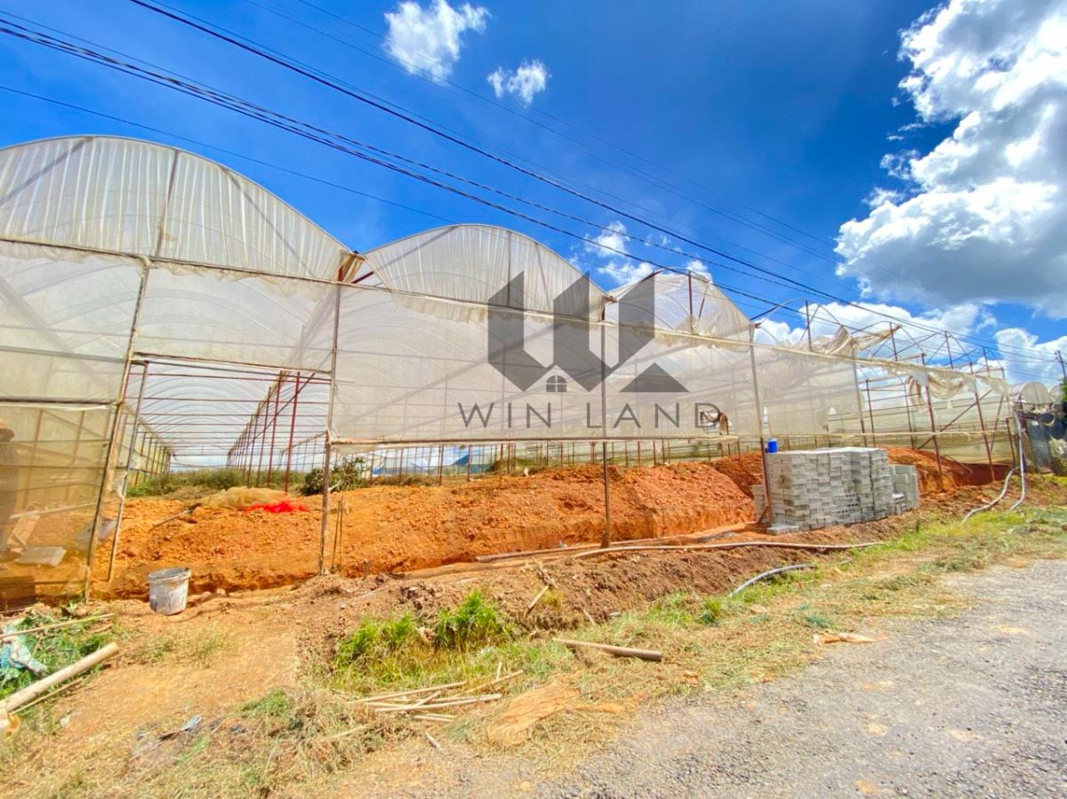 2 lô đất Huỳnh Tấn Phát - Giá: 7ty