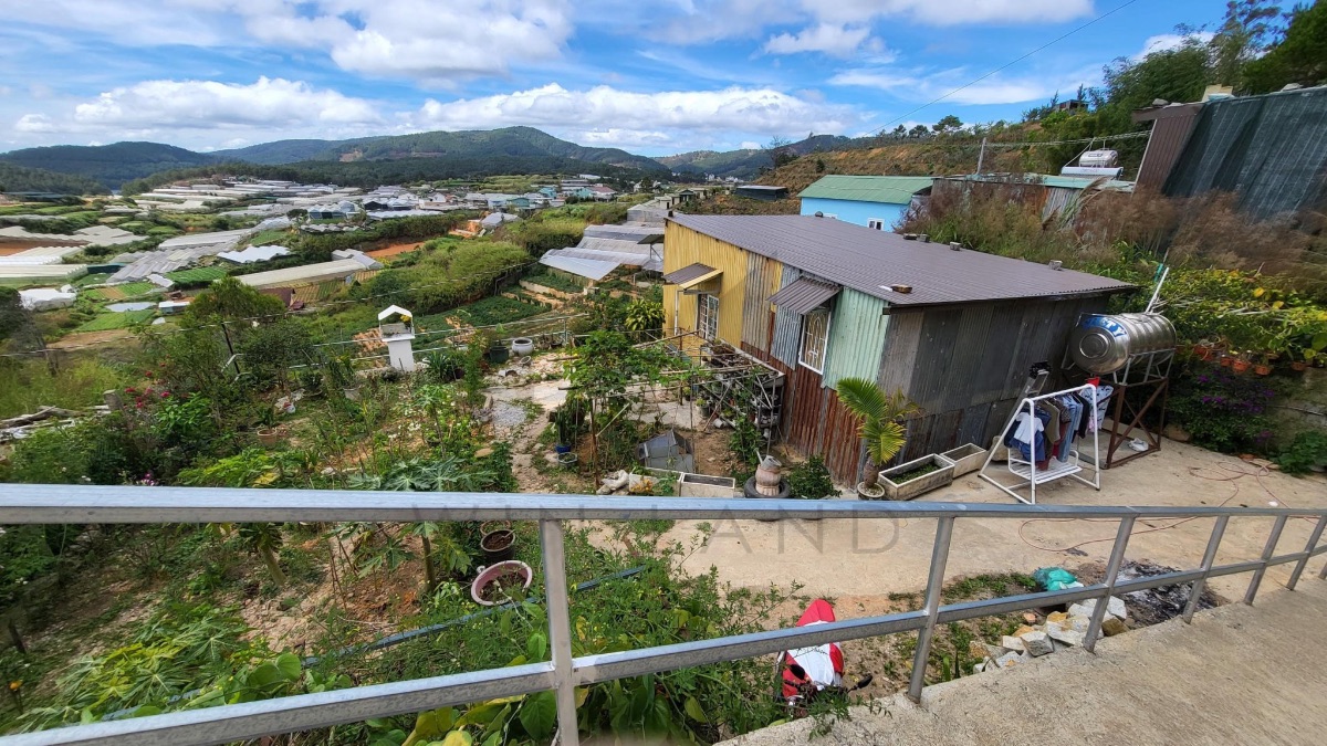 Đất An Sơn - Giá: 15ty