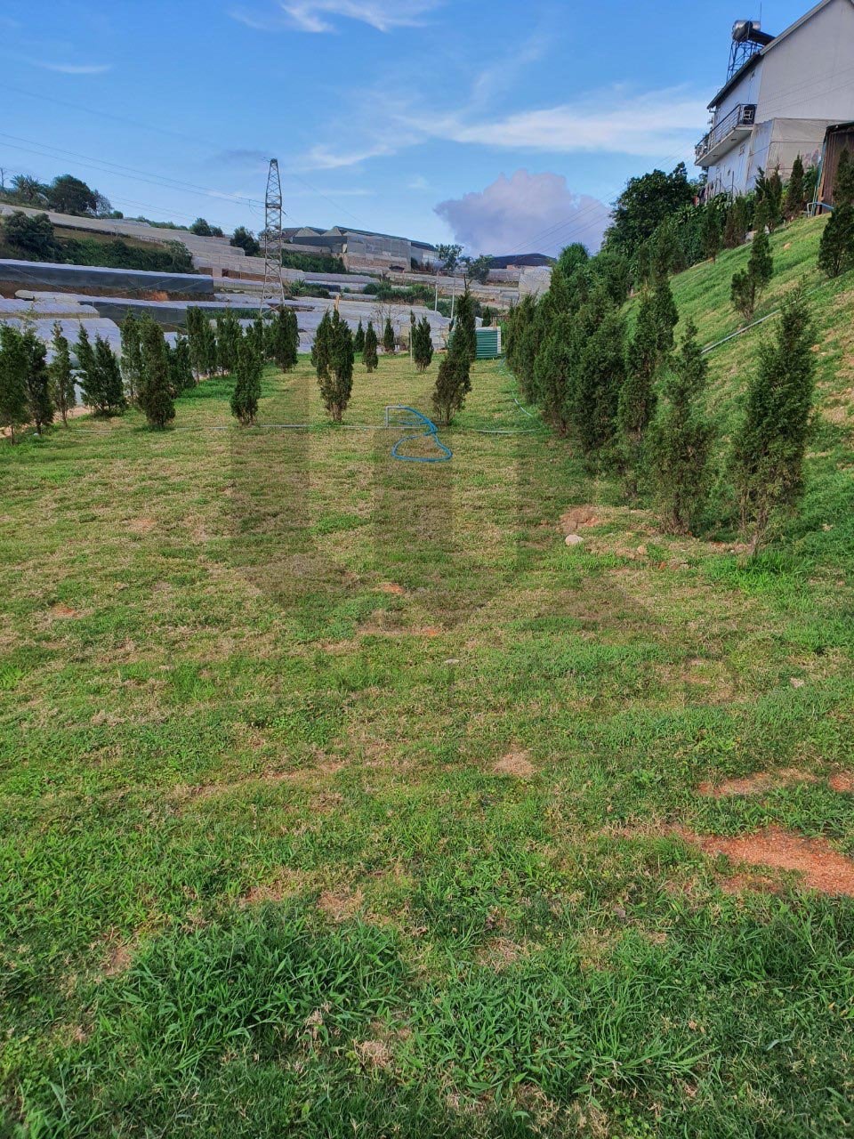 Đất Huỳnh tấn Phát - Giá: 10ty3