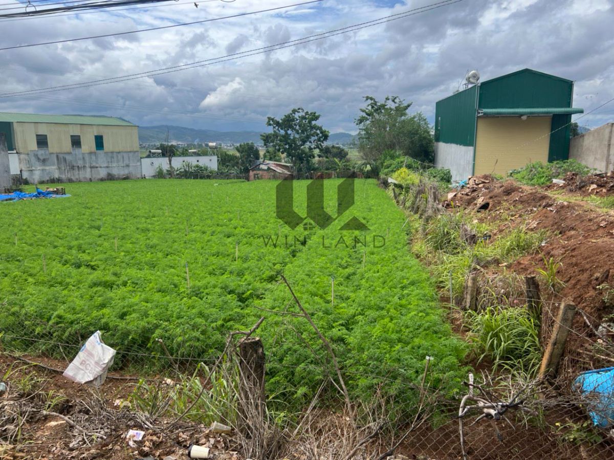 Đất Mặt tiền Quốc Lộ 20, thị trấn Liên Nghĩa, huyện Đức Trọng - Giá: 20ty