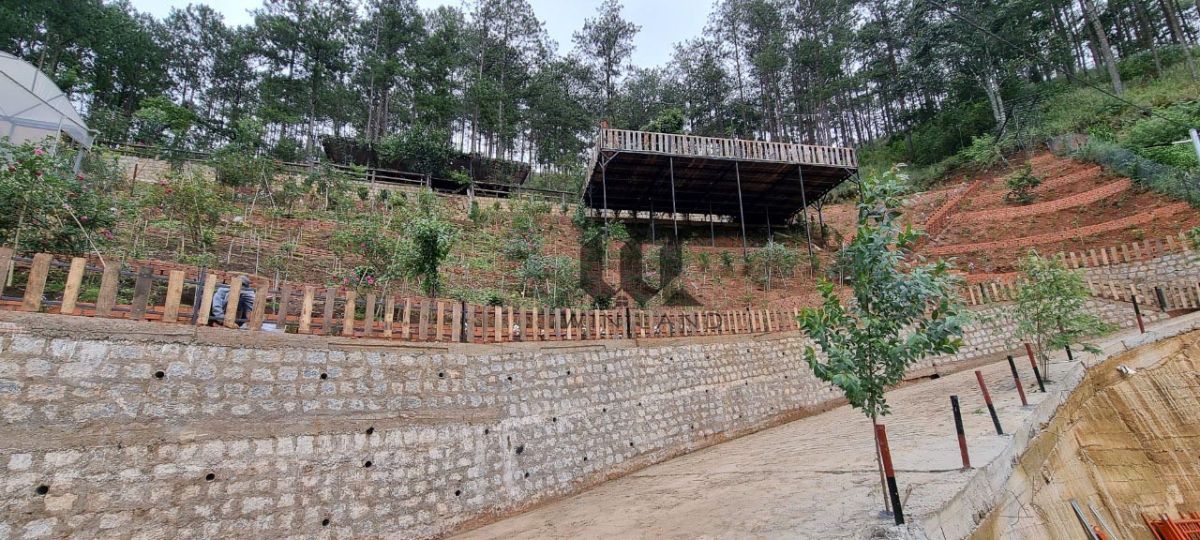 Đất Xuân Thọ - Giá: 7ty8