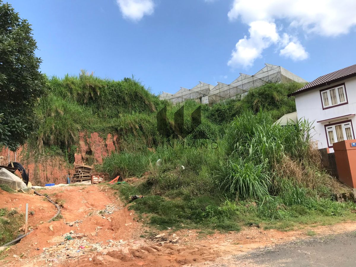 Đất Mặt tiền Tô Hiệu - Giá: 11ty280