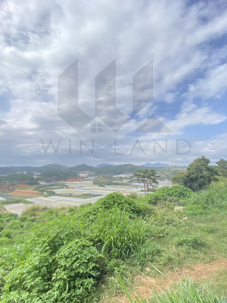 Đất Trần Văn Côi - Giá: 12ty5