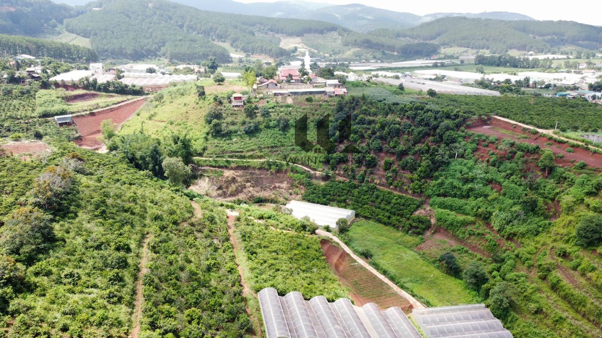 Đất xã Tà Nung - Giá: 9ty2
