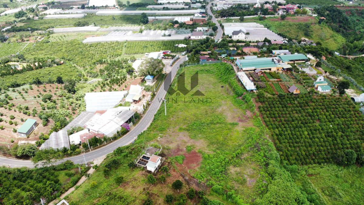 Đất Mặt tiền DT725, xã Tà Nung - Giá: 11ty