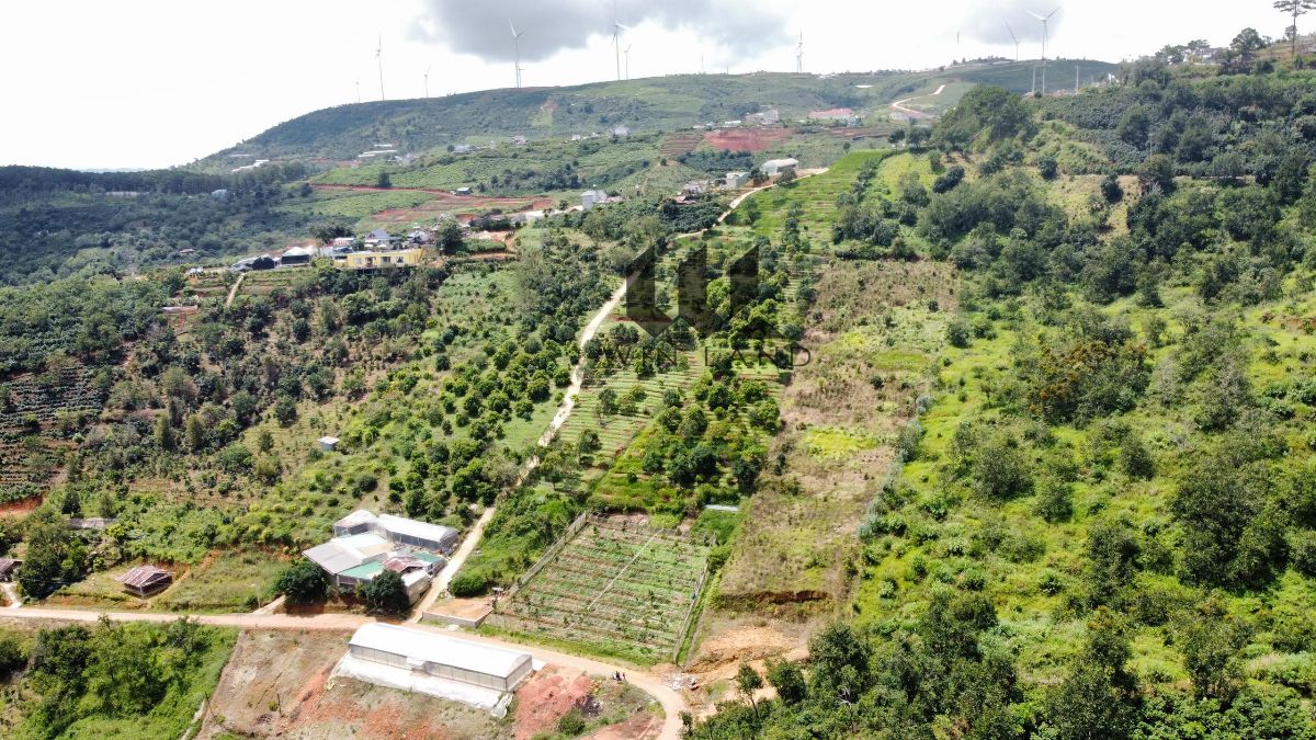 Đất Đất Làng, xã Xuân Trường - Giá: 13ty
