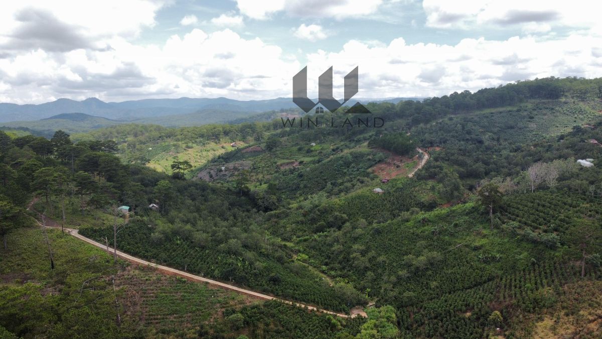 Đất Xuân Trường - Giá: 13ty3