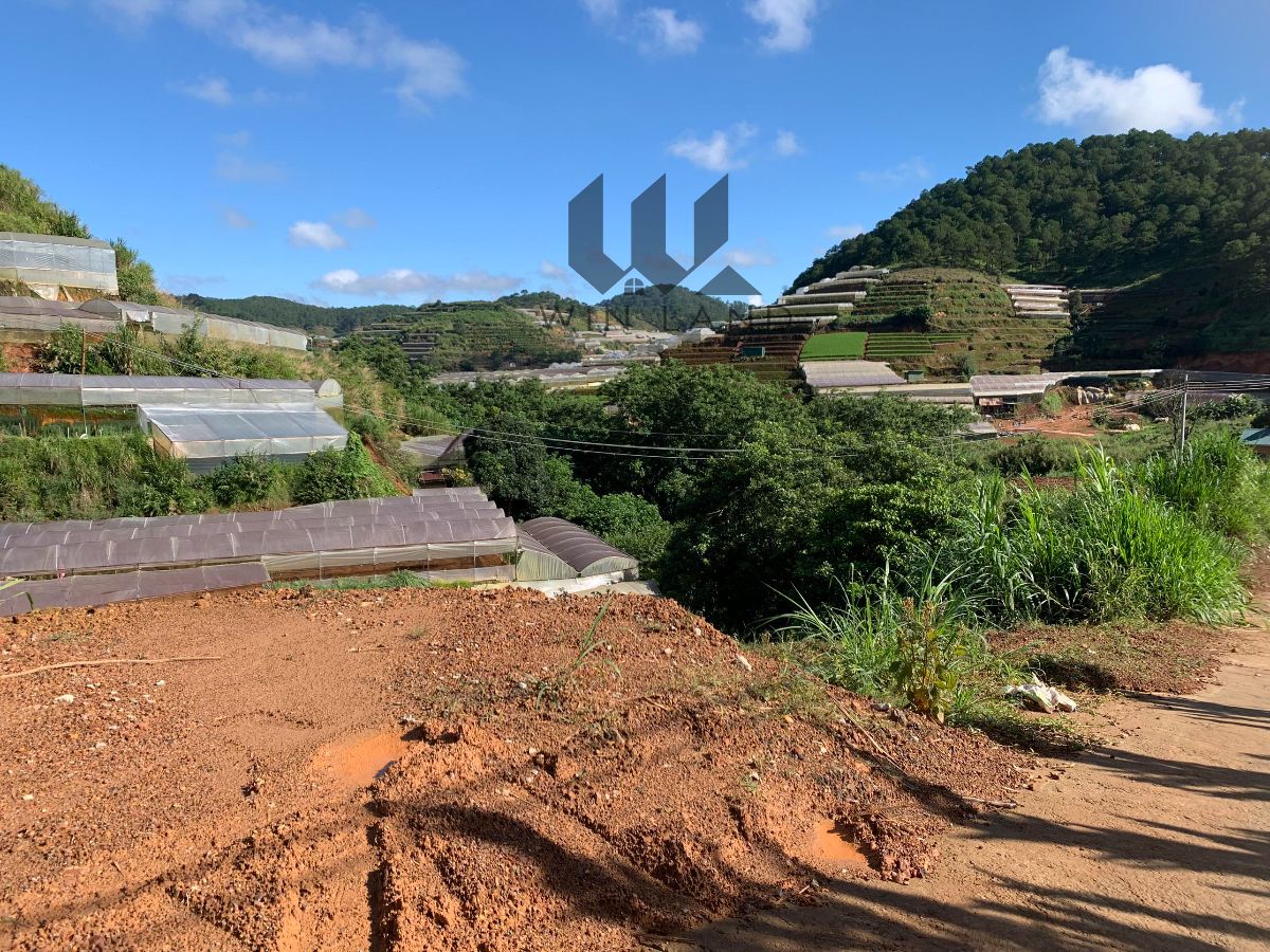 Đất Thác Ôn Diệu, xã Xuân Thọ - Giá: 1ty550