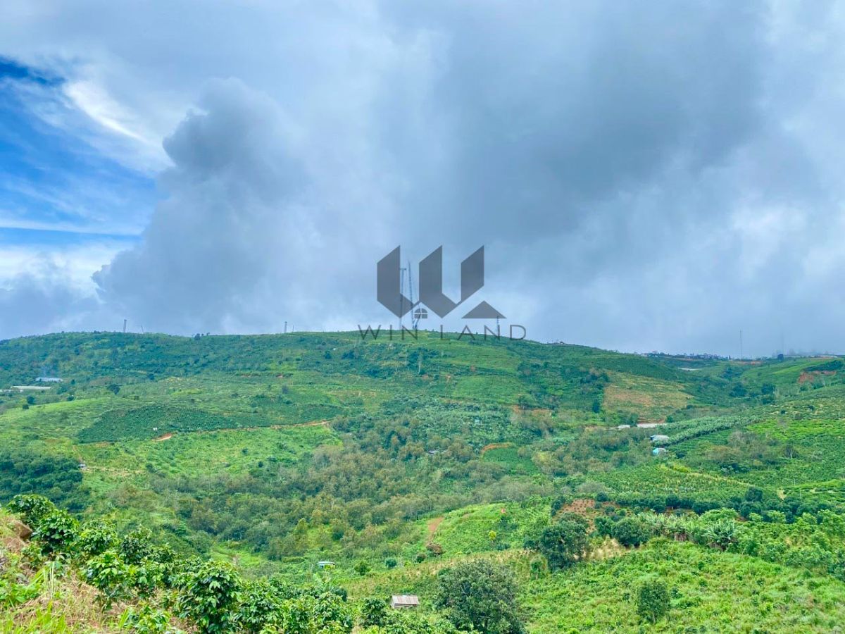 Đất KQH Trường Xuân 2, Xã Xuân Trường - Giá: 2ty5