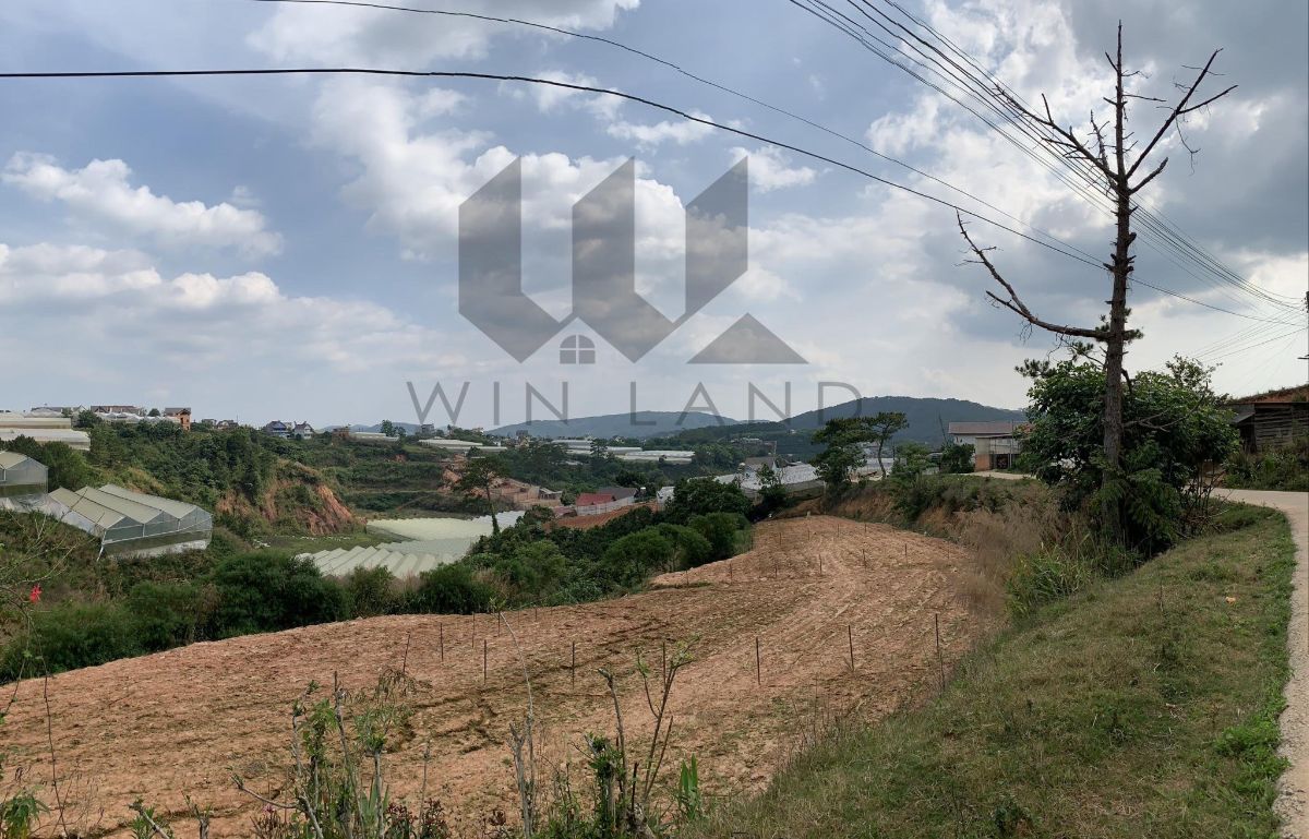 Đất KQH Măng Lin - Giá: 10ty