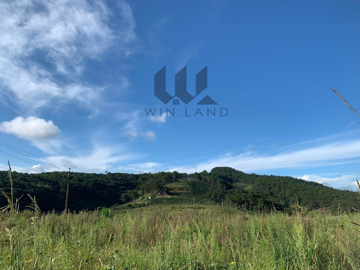 Đất Quảng Thắng, Đa Thọ, Xuân Thọ - Giá: 4ty5