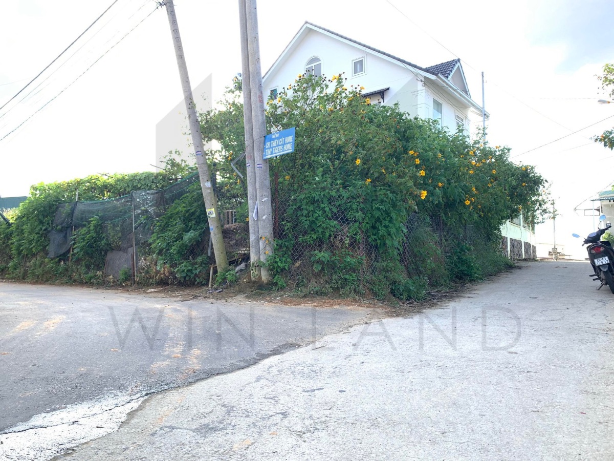 Đất Bạch Đằng - Giá: 12ty5