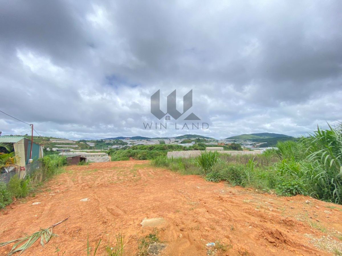 Đất Cao Thắng - Giá: 3ty ->4ty