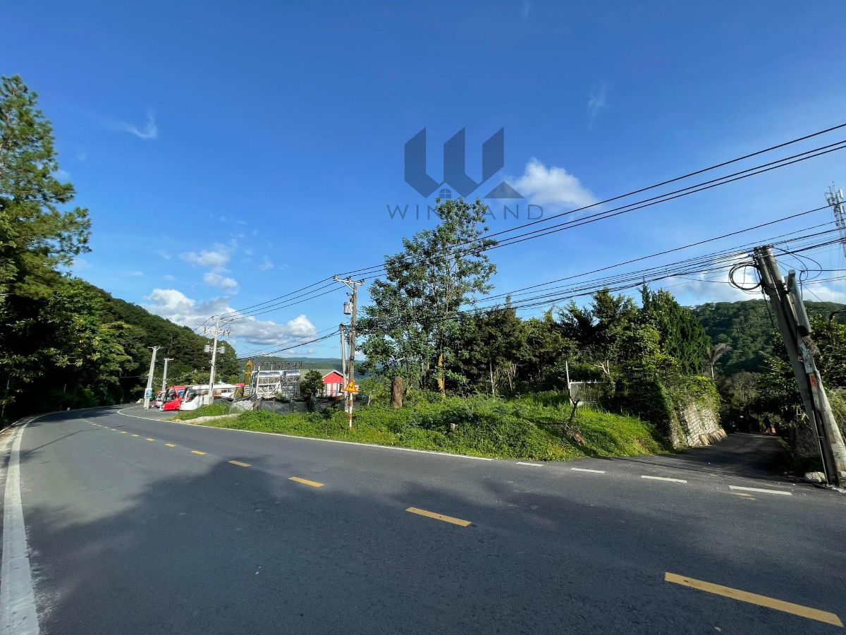 Đất đèo Mimosa - Giá: 65ty
