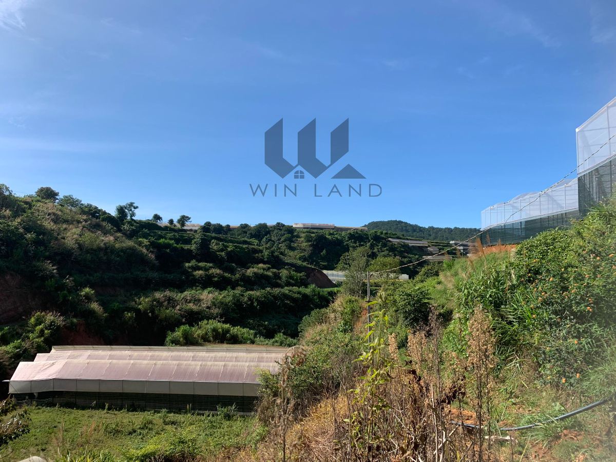 Đất Đa Quý, xã Xuân Thọ - Giá: 1ty4