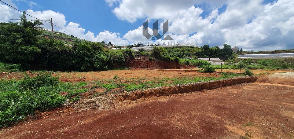 Đất Tập đoàn 3 thôn Đa Lộc, xã Xuân Thọ - Giá: 3ty2