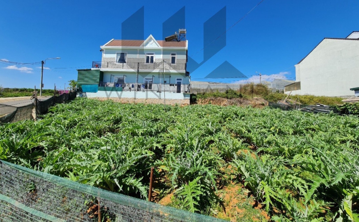 Đất KQH Nguyễn Hữu Cầu - Giá: 11ty