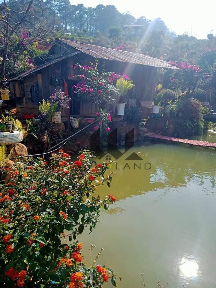 Đất thôn Xuân Sơn, xã Xuân Trường - Giá: 18ty