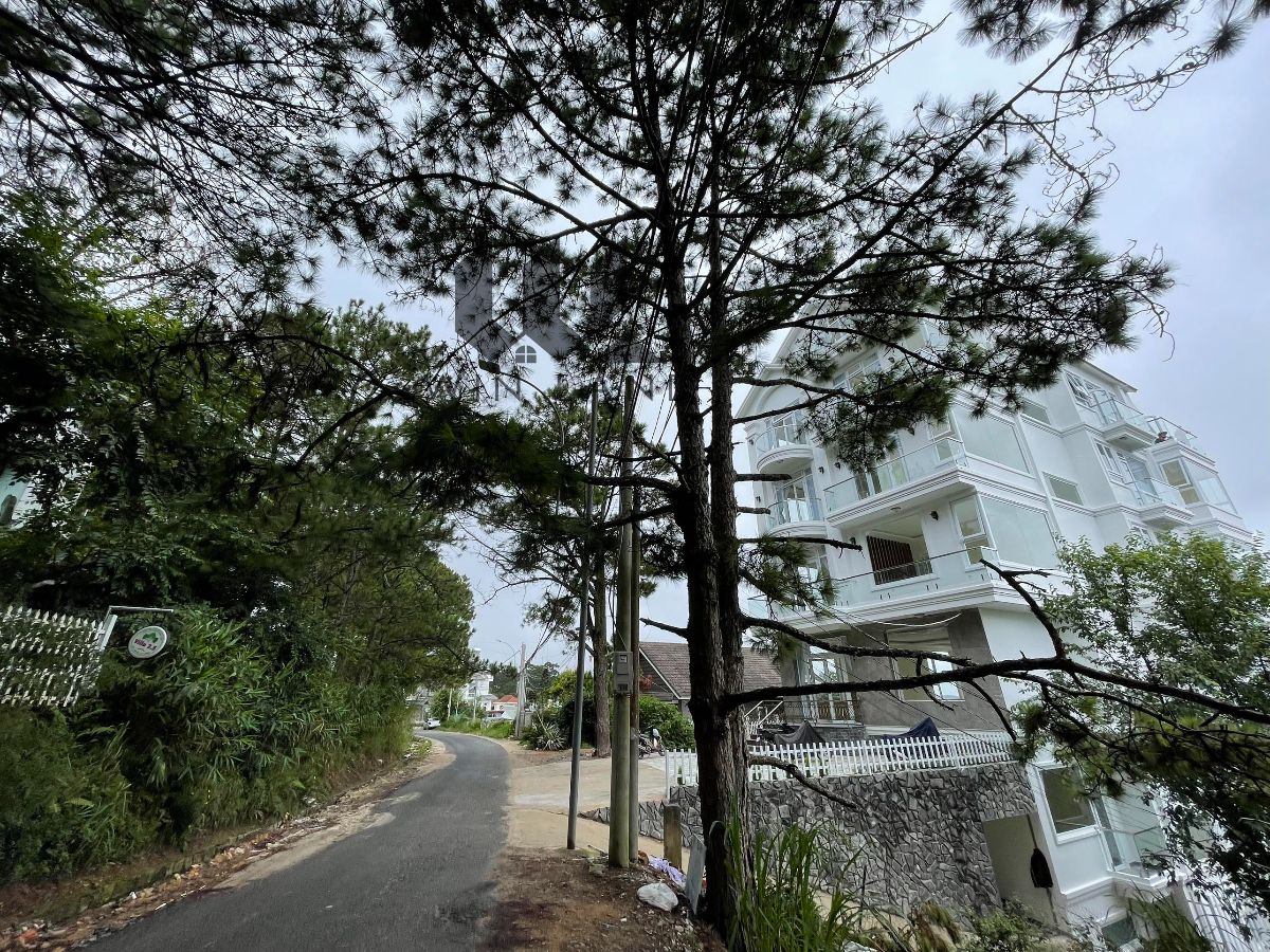 Biệt thự Mặt tiền Trịnh Hoài Đức - Giá: 32ty5