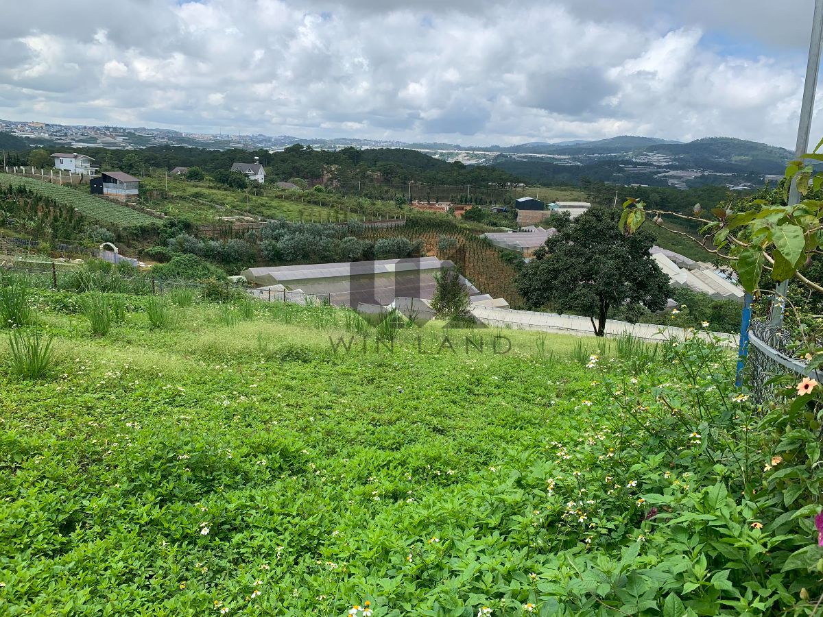 Đất Măng Lin - Giá: 4ty8