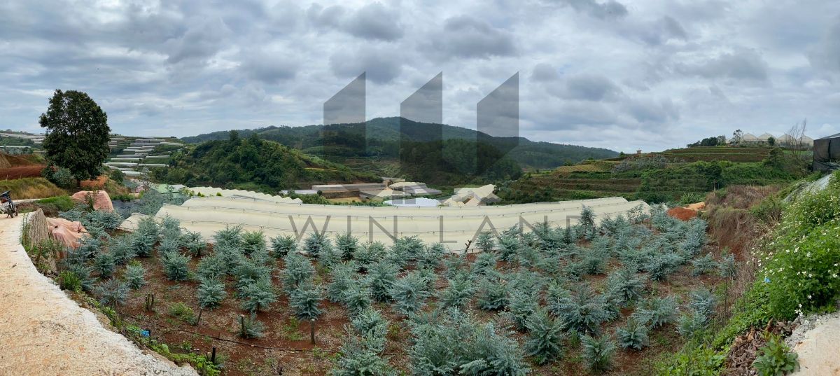 Đất Đa Quý, xã Xuân Thọ - Giá: 45ty5