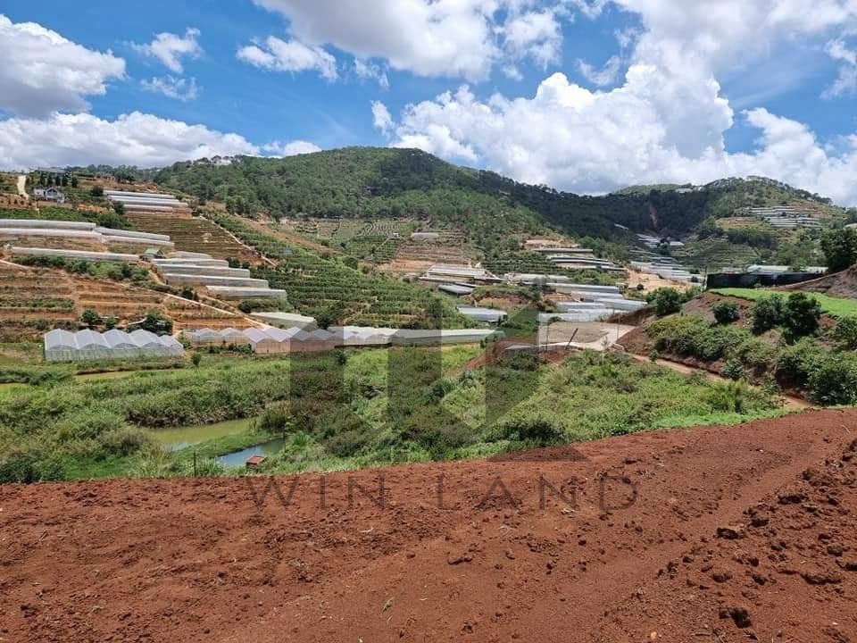 Đất đường Đập, Đa Quý, Xuân Thọ - Giá: 2ty5