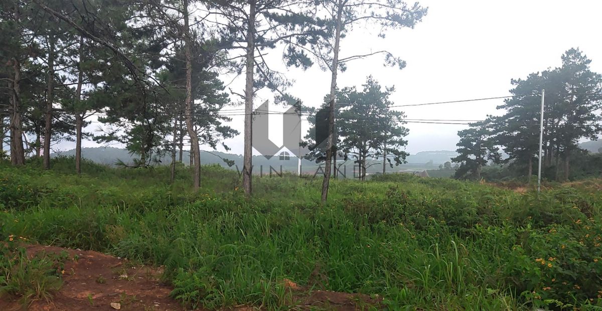 Đất xã Trạm Hành - Giá: 20ty