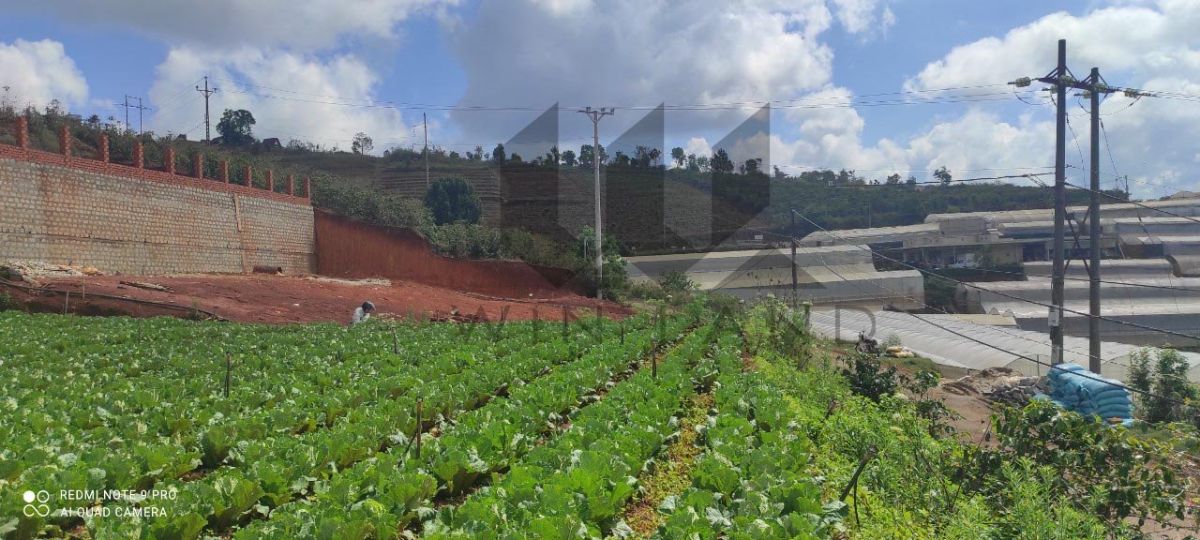 Đất Tập Đoàn 1, xã Xuân Thọ - Giá: 6ty8