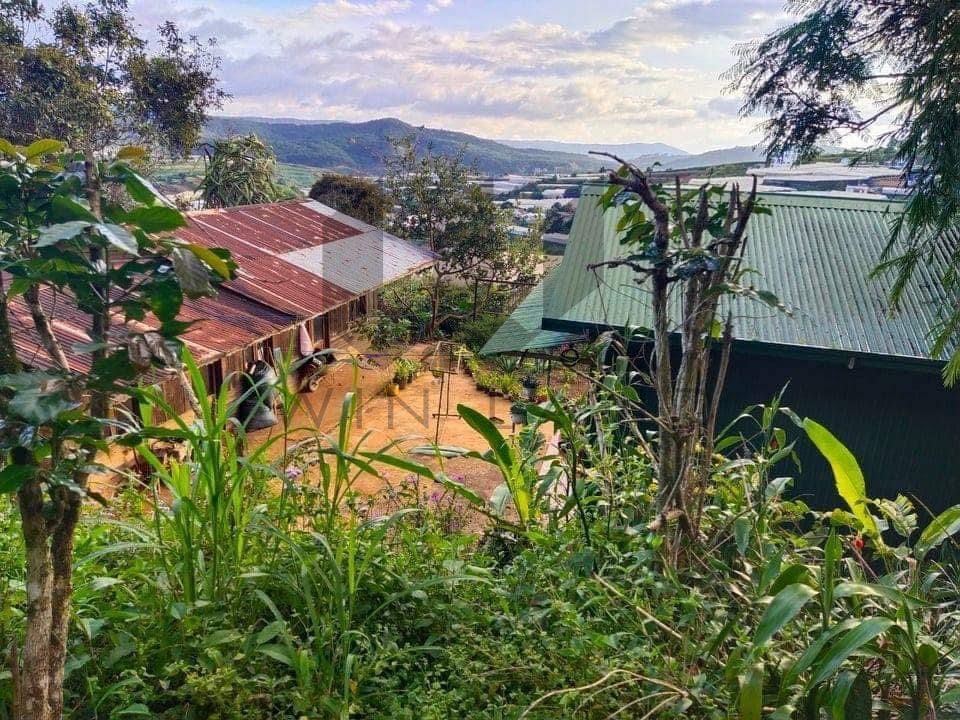 Đất Ôn Sác, xã Xuân Thọ - Giá: 30ty