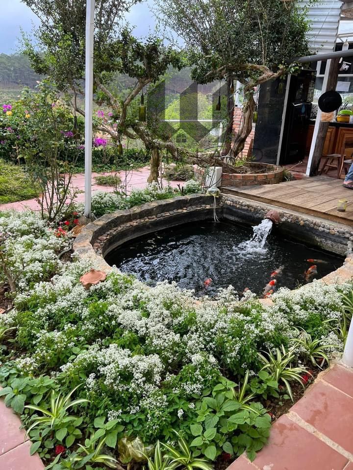 Homestay nghỉ dưỡng thôn Đa Thọ, xã Xuân Thọ - Giá: 18ty5