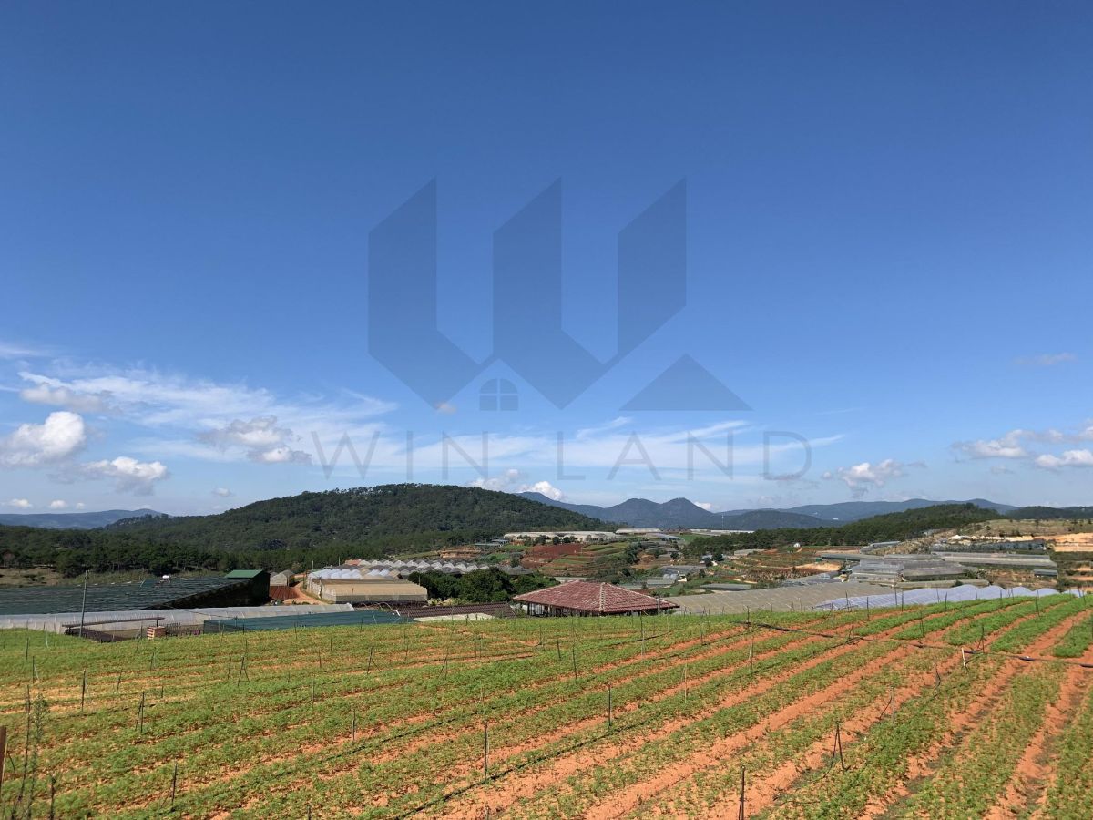 Đất xã Xuân Thọ - Giá: 2ty7