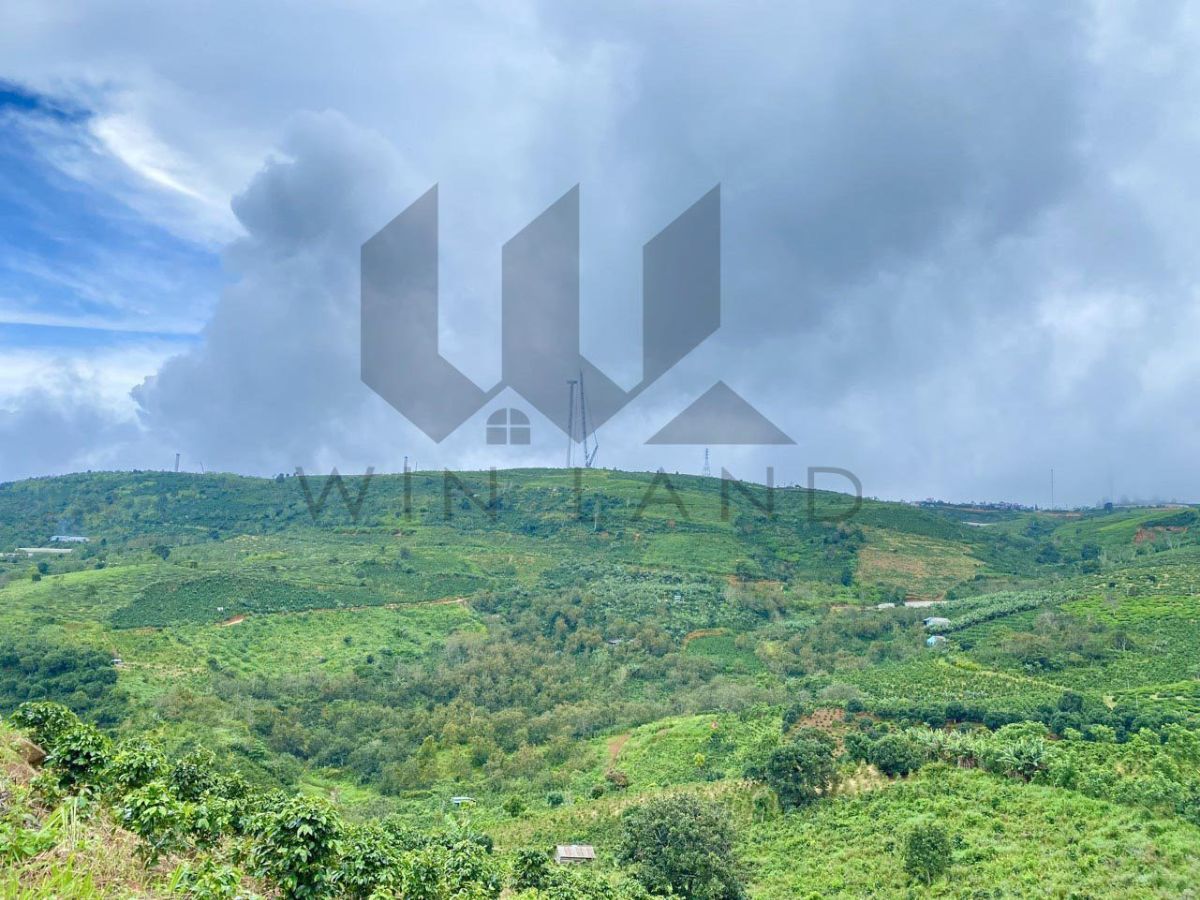 Đất KQH Trường Xuân 2, xã Xuân Trường - Giá: 3ty4