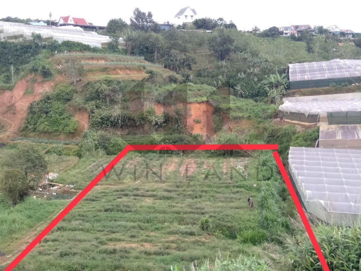 Đất Ôn Sác, xã Xuân Thọ - Giá: 17ty3