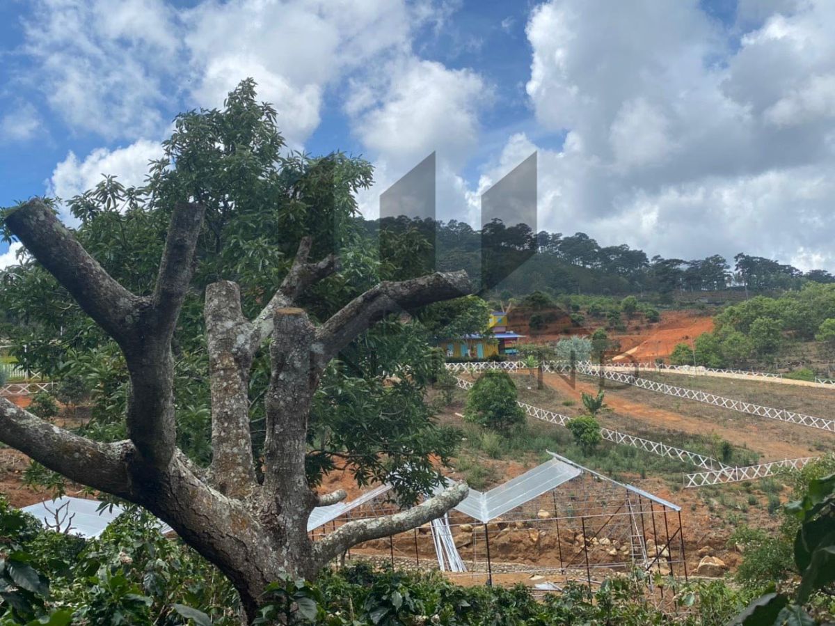 Đất Xuân Sơn, xã Xuân Trường - Giá: 3ty