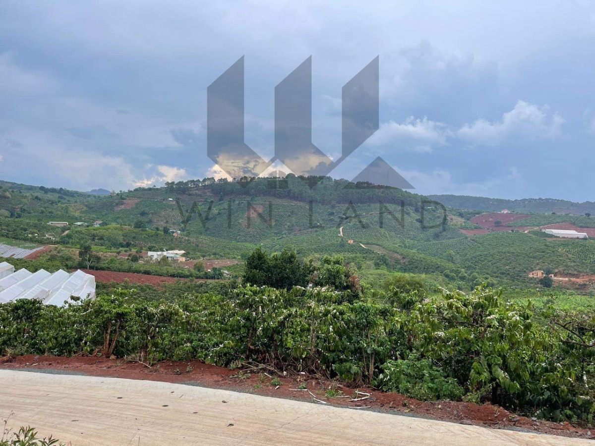 Đất xã Mê Linh, Huyện Lâm Hà - Giá: 3ty7