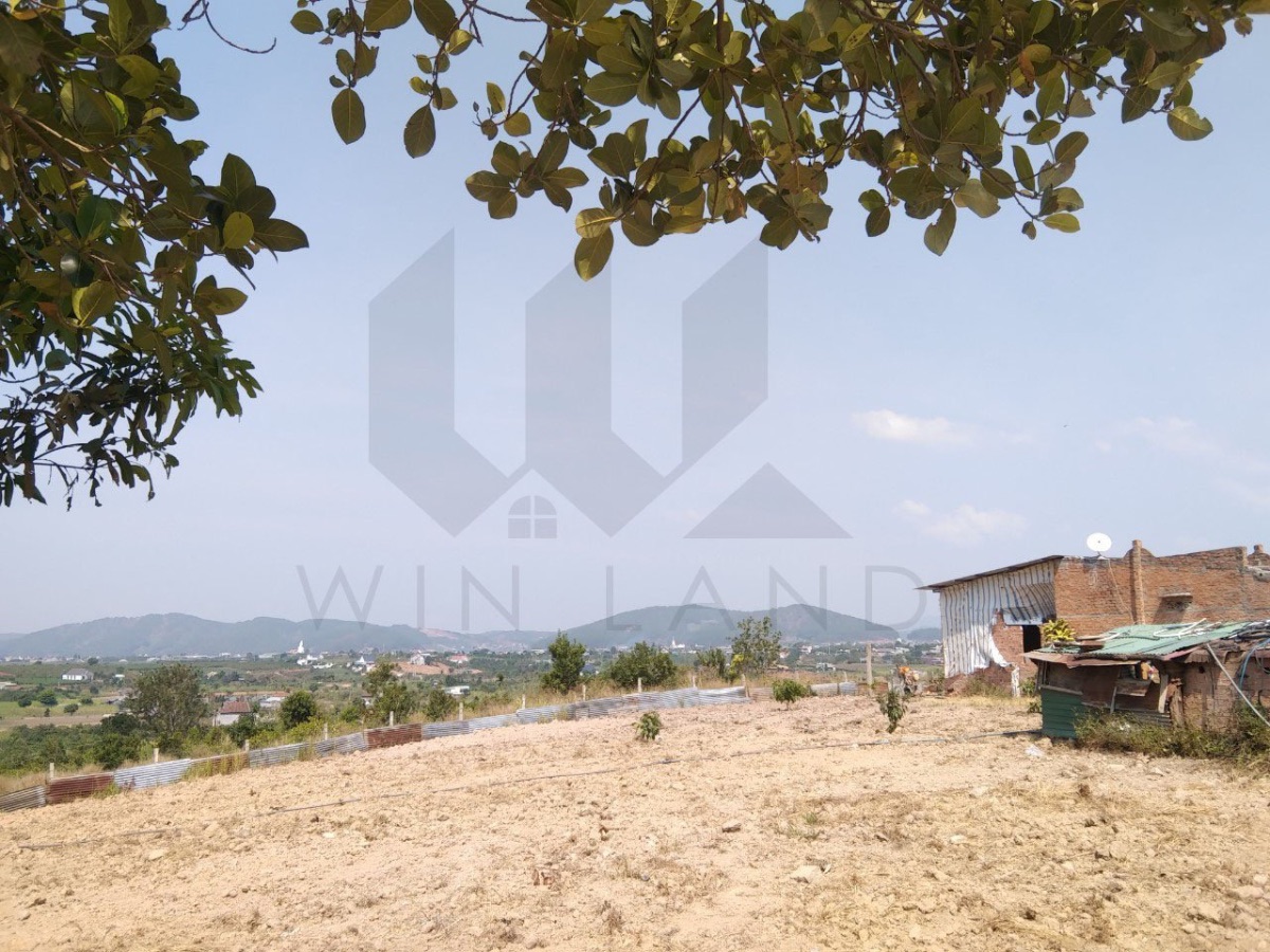 Đất thôn Thanh Trì, xã Đông Thanh, Huyện Lâm Hà - Giá: 4ty 