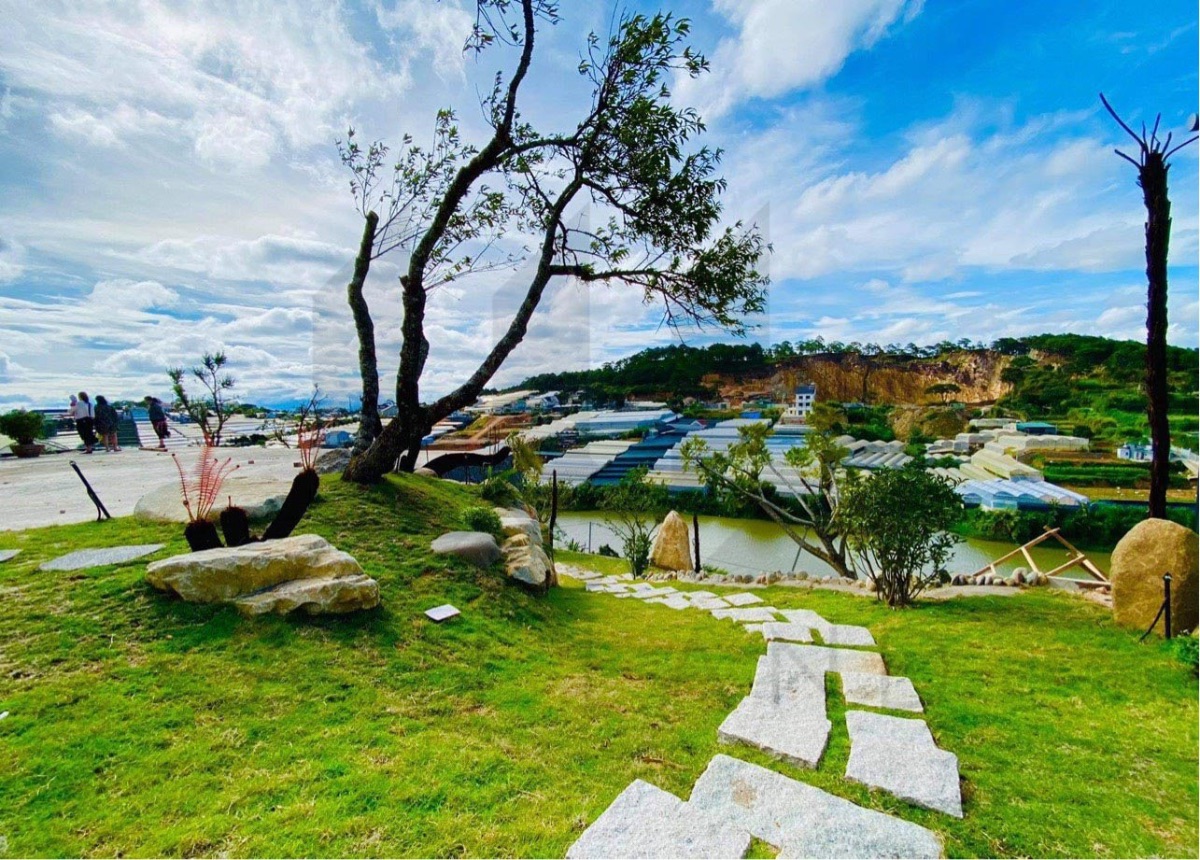 Đất Lâm Văn Thạnh  - Giá: 16ty