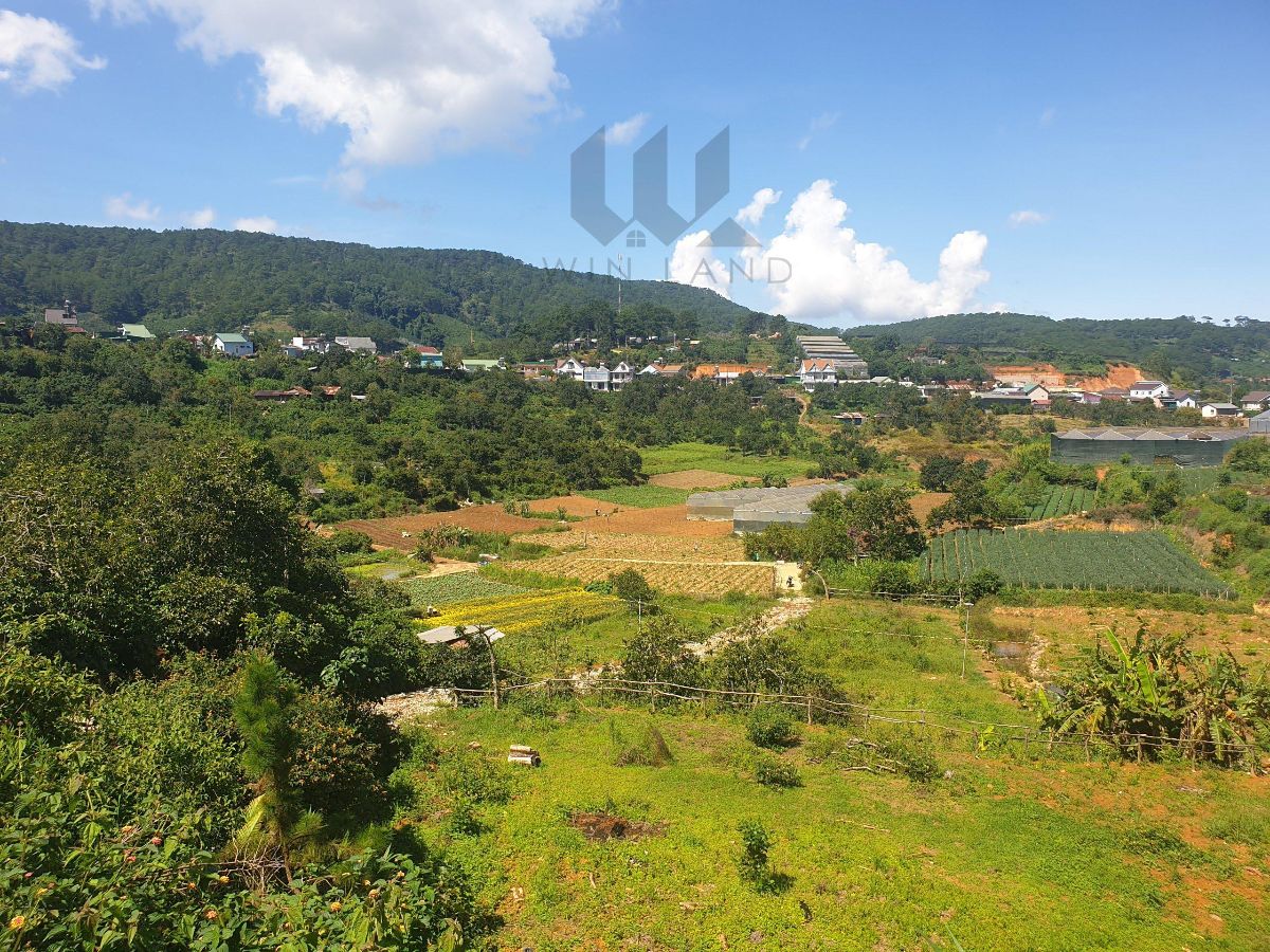 Đất Xuân Trường - Giá: 10ty