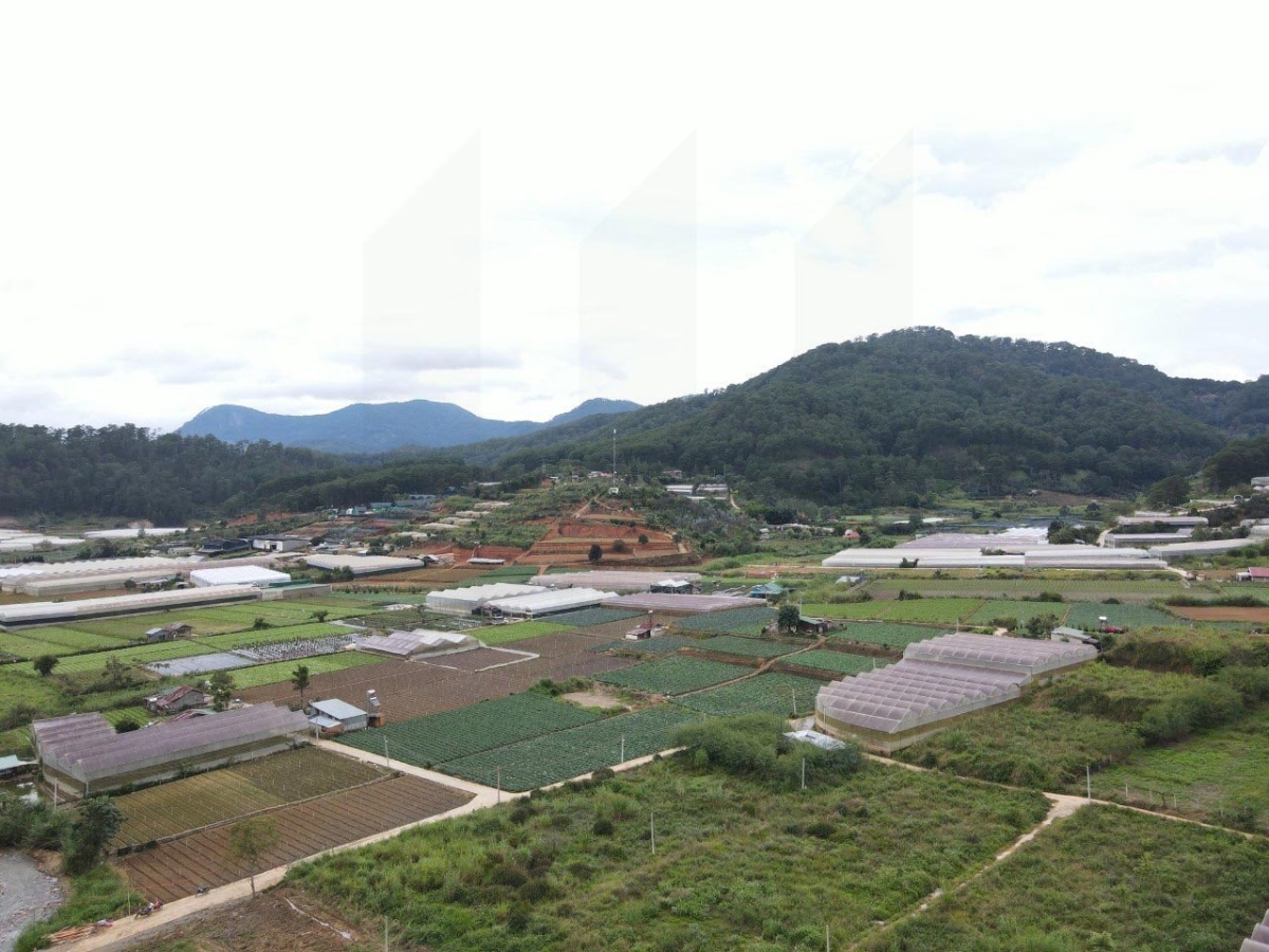 Đất Khe Sanh - Giá: 8ty, tlcc