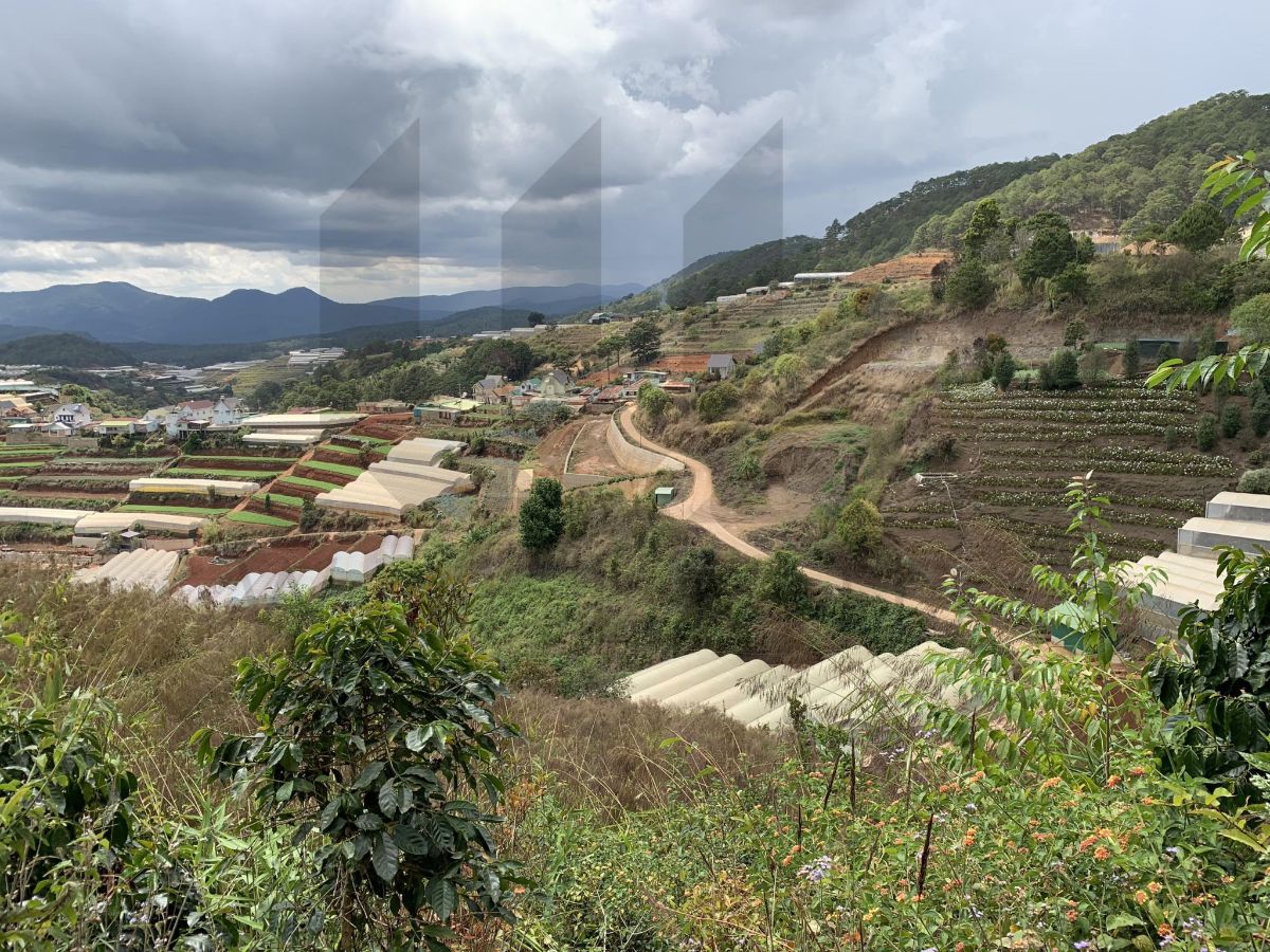 Đất Đa Quý, xã Xuân Thọ - Giá: 5ty